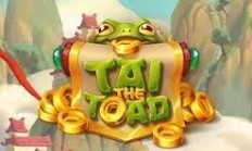 The Vintage Chronicle of B52 Play Club: A Grand Hall of Joy, Rivalry, and Fellowship