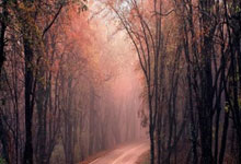 “Luận Về Đạo Chơi: Giải Trí Mà Không Mê Loạn, Tỉnh Ngộ Giữa Cuộc Trò”