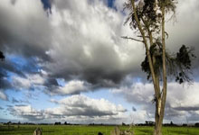 "Tải Một Ứng Dụng, Mở Ngàn Cửa Mộng: Luận Nhân Tâm Trong Cõi Ảo Cuồng Hoa"