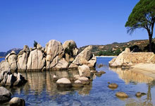 “Luận Bàn Về Cõi Ảo Hoan Lạc: Cuộc Canh Bạc Trong Trần Thế Mộng”